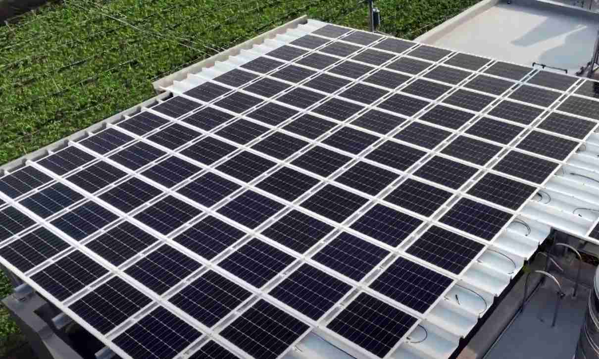 云顶国际8588ydSunSteel光电浪板升级双玻结构，，，，以提升机械负载强度及气候耐候度，，，，可广泛运用于多元场域